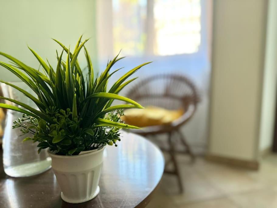 Casa Nel Verde - 4 Posti Letto Apartment Киаравале Екстериор снимка